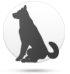 Cão