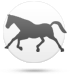 Cavalo